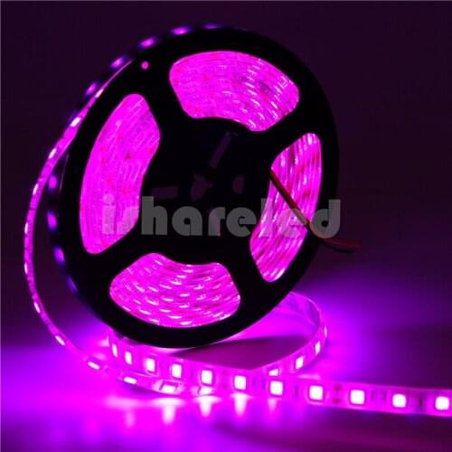 10X 50M DC 12V flexible light SMD 5050 Pink color LED strip light 60Led/M led strip IP30 IP65 FPCB WHITE
