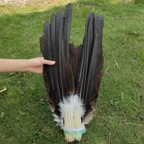 Wholesale A set of 70 PCS Rare Natural Pheasant Feathers 40-60cm/16-24inch Craft Making Party Headdress Hats Decoration
