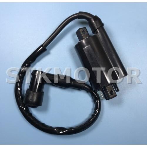 Original Buyang Feishen FA-D300 G300 H300 Ignition Coil and Wire 5.3.01.0240