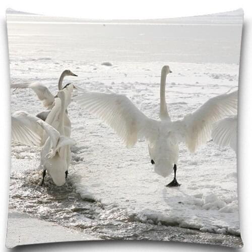 Swans running in the snow 2D print creative Pillow case Square cotton polyester cushion cover 5 size 9 style