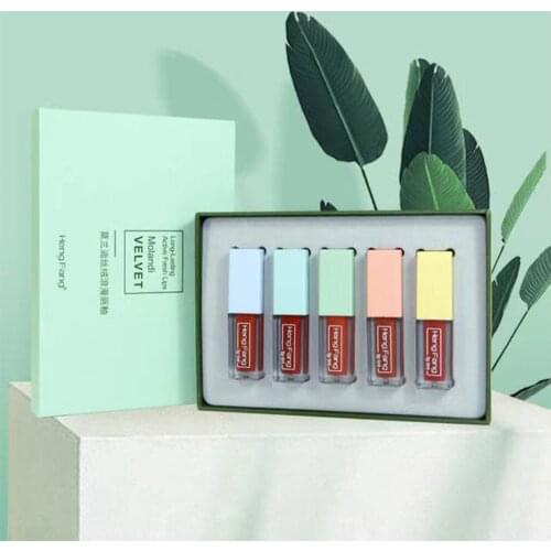 HengFang 5PCS Lip Gloss Set Morandi Velvet Makeup Lip Glaze Liquid Lip Stick