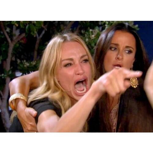 5D DIY Poured Glue Diamond Painting Kits Women Yelling At Cat Full Round Square With AB Drill Art Gift