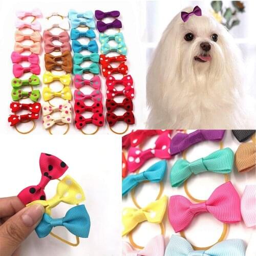 5/10Pcs Pet Hair Bows With Rubber Bands Small Dogs Pet Dogs Puppy Yorkshire Terrier Long-Haired Dog Pet Bow Pet Grooming Supplie
