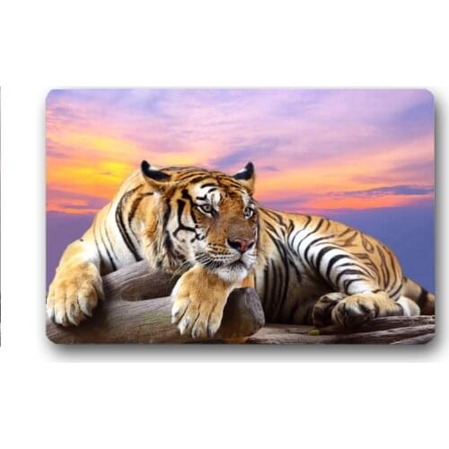 Tiger Pattern Entrance Doormats Door Mat 3D Printed Carpet Living Room Bedroom Anti-slip Floor Mats Kitchen Rugs