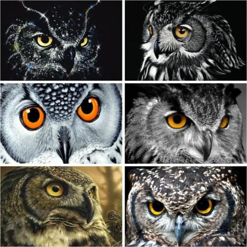 HUACAN 5D DIY Diamond Painting Set Owl Diamond Embroidery Sale Animal Pictures Of Rhinestones Full Mosaic Craft Kit