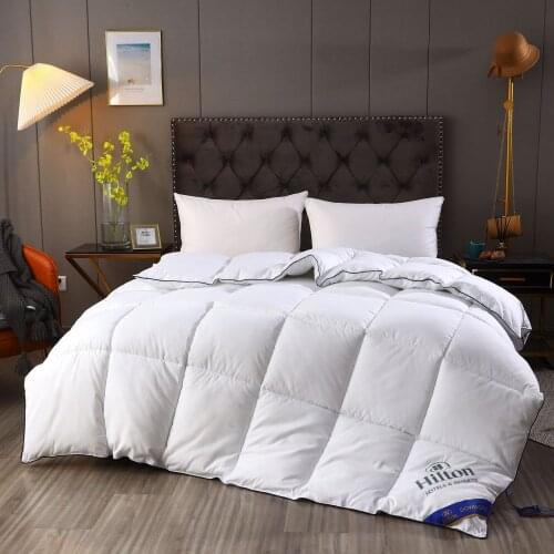2021 New Hotel quilt Hilton duvet double spring autumn and winter is thickened quilt core duvet