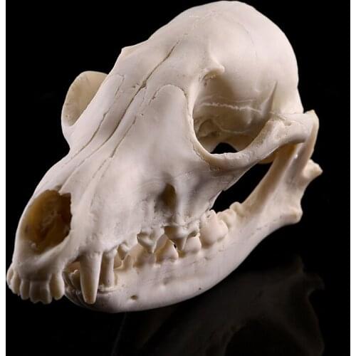 Fake Vivid Resin Animal Skull Head Skeleton for f/ Club Chrsitmas Decoration