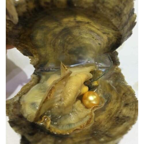 100 pcs Akoya saltwater oysters round pearl 6-8mm random mixed color 30 single, 30 twins, 20 triplets,20 quads, wholsale price