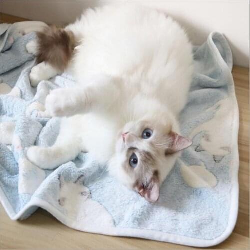 100x75cm Soft Fleece Cat Blankets Cat Bed Mats Pet blanket Cats Dogs Bed Blanket Cover For Small Puppy Cat Pet 10 Style