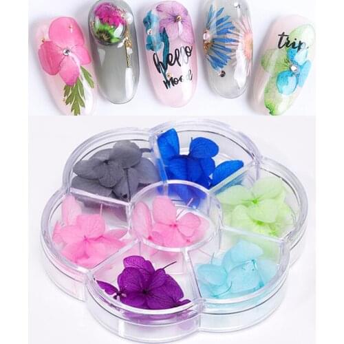 7grides/Box Real Dried Flower Nail Art Decorations Stickers 3D Natural Dry Petal UV Gel Accessories For DIY Manicure Nails Charm