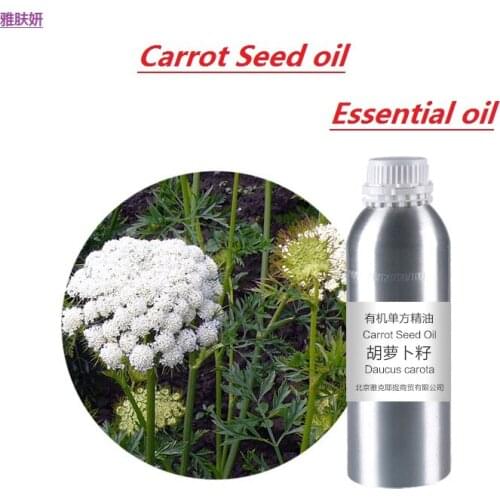 Massage oil 50g-100g/bottle carrot seed essential oil organic cold pressed vegetable & plant oil skin care oil free shipping