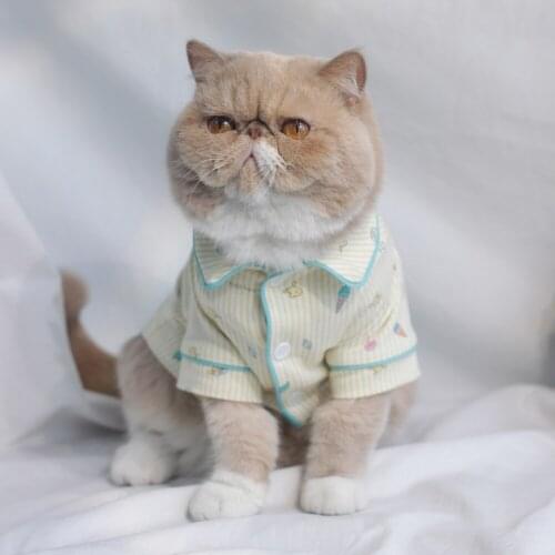 Cat Coat Comfortable Cardigan Pet Cotton Clothes Puppy Hoodie Jacket Hairless Cat Shirt Kitten Supplies Pet Costumes chihuahua