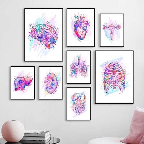 Nordic Style Human Artwork Canvas Painting Wall Art Posters And Print Pictures Organ Education Watercolor Room Design Home Decor