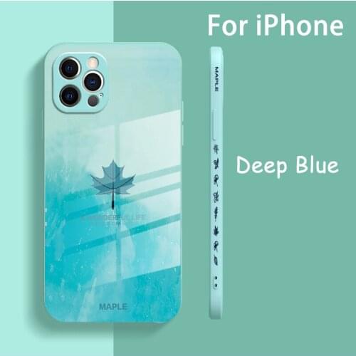 CASSVIE Protective Films For Mobile Phones