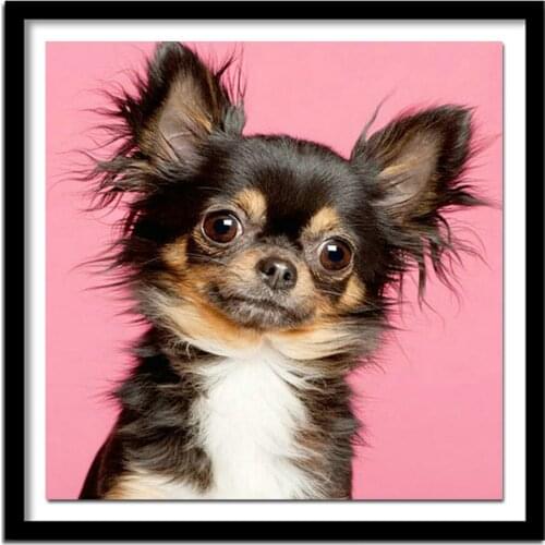 Full,Diamond Embroidery, Animal Chihuahua painting,Diamond Painting dog Cross Stitch,Diamond ,Needlework,Christmas RT0183