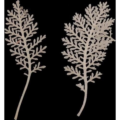 12 Pcs Natural Senecio Cineraria Real Pressed Dried Flowers DIY Herbarium Scrapbooking Card Making Jewelry Resin Crafts