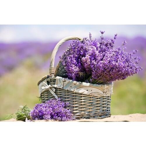 JMINE Div 5D lavender flowers basket Full Diamond Painting cross stitch kits art High Quality Floral 3D paint by diamonds