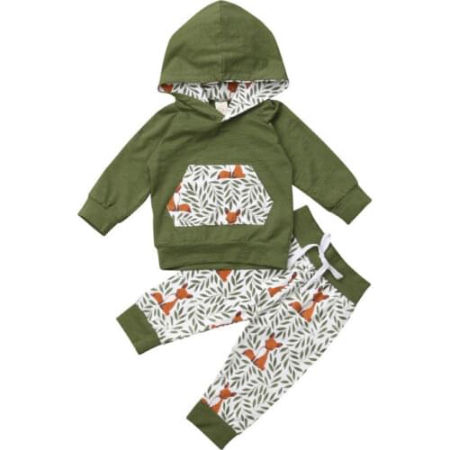 0-3Y Newborn Infant Baby Girls Boys Autumn Casual Clothes 2PCS Floral Print Long Sleeve Pullover Hooded Tops+Pants
