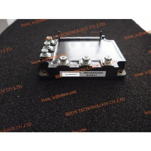 PM100RSD060