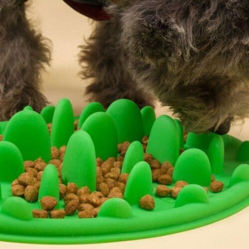 Healthy Pet Dog Cat Slow Feeder Bowl Puppy Anti Slip Gulp Choke Feed Bloat Dish travel bowl