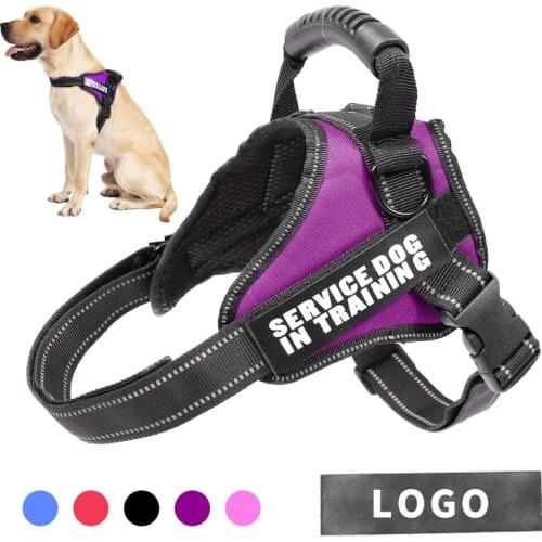 Dadugo Harnesses