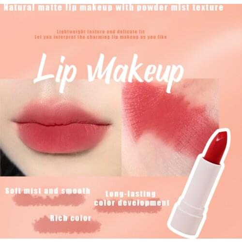 Velvet Lipstick Matte Texture Waterproof Sweat-proof Rich Color Lipstick Long Lasting Moisturizing Lip Makeup Cosmetic TSLM1