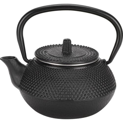 Cast Iron Tea Pot 0.3L Home Use Kettle with Strainer Modeled on Japanese Tea Boiler