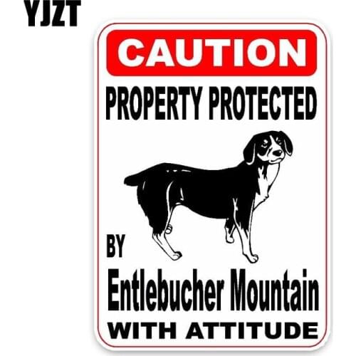 YJZT 10*14.2CM Property Protected By Entlebucher Mountain Dog Car Decoration PVC Car Sticker Decal C1-4517