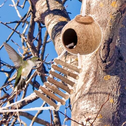 Coconut Bird House Hamster Squirrel With Ladder Breeding Nest Parrot Toy Hemp Rope Comfortable Pet Parakeet Finche Sparrows Cage