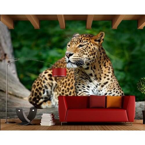 Sri Lankan leopard on the tree 3d wallpaper mural papel de parede,living room TV sofa wall bedroom wall papers home decor