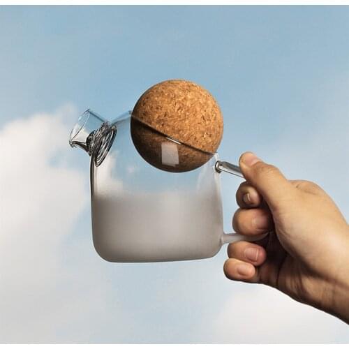 Heat-resistant glass teapot simple kettle creative Japanese tea set fruit flower teapot set household