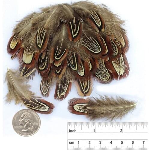 Pheasant Feathers for Crafts 5-10CM 2-4inch Natural Feathers for Jewelry Making Carnaval Assesoires Wedding Feathers Decoration