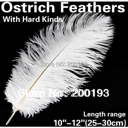 CHINAZP Factory 400pcs/color/lot Size 10"-12"(25-30cm) Top Quality White Ostrich Feathers