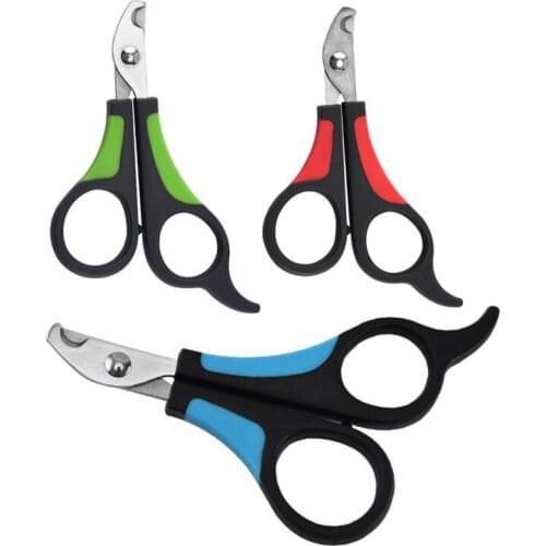 Durable Pet Cat And Dog Stainless Steel Nursing Foot Nail Clippers High-quality Pet Supplies Green Black