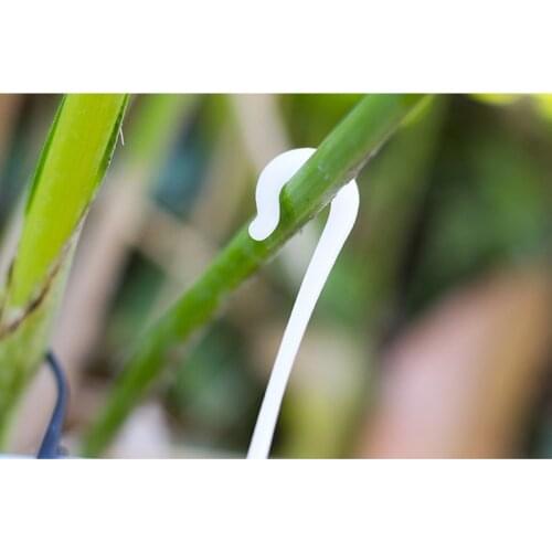 50 Pcs Agricultural Ear Hook Farming Tomatoes Greenhouse Clamp Fruit Vegetable Fix ALI88