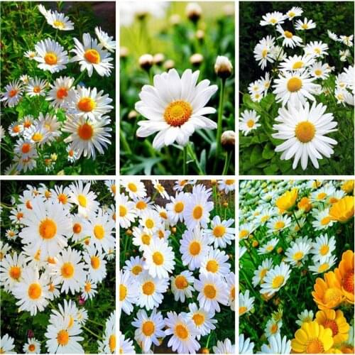 EverShine 5D Diamond Mosaic Flowers Cross Stitch Diamond Embroidery Daisy Picture Rhinestones Handmade Art Painting Home Decor