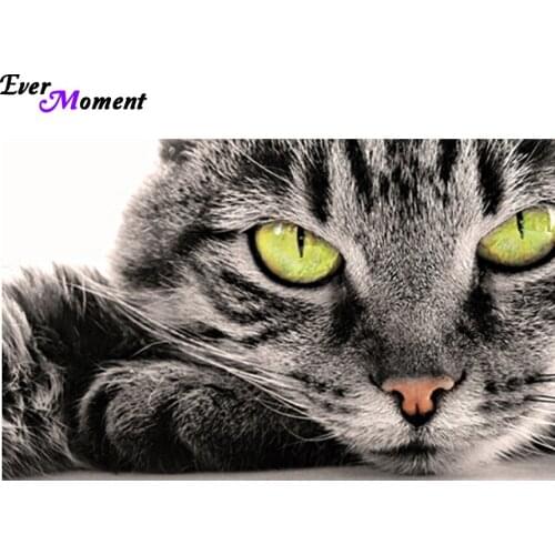 Diamond embroidery diy diamond painting cross stitch cat diamond rhinestone pasted painting home decor wall sticker gift ASF493