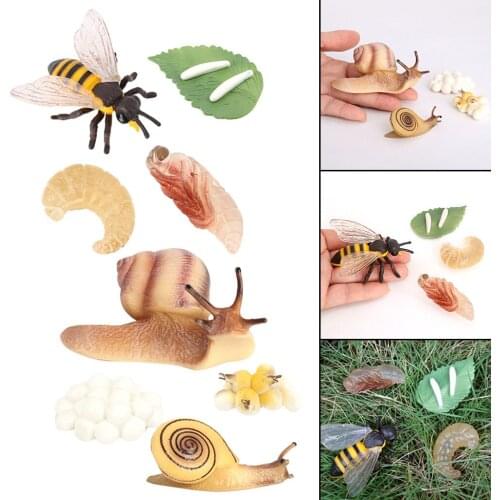 Kids Simulation Animal Figures Toys Bee Snail Growth Process Playset Early Educational Toy for Children Nature Teaching Aids