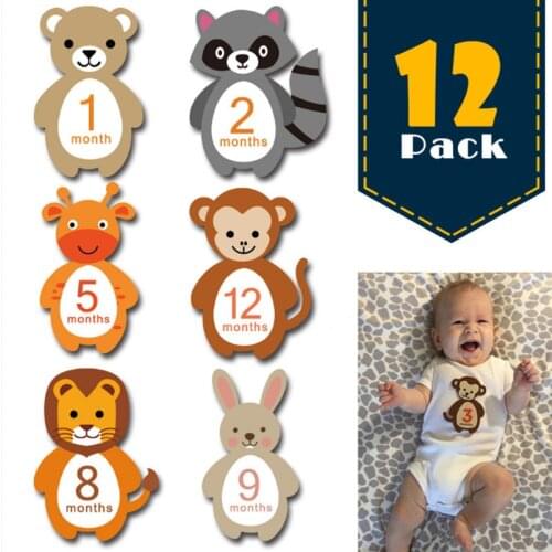 Photo Sharing Cards Ornament Cartoon Animal Infant Milestone Stickers 12 Sheet/Set Nice Gift Photographic Props Baby Age Card