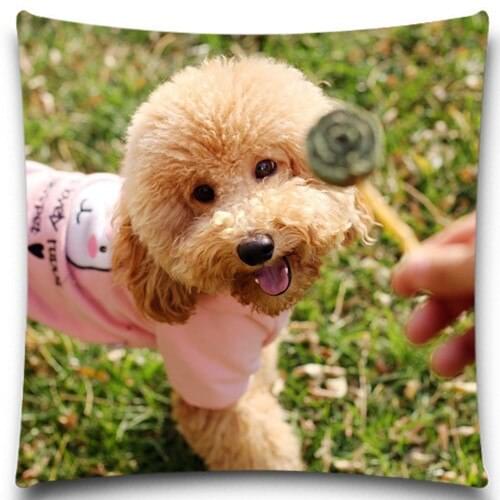 Case Dogs Pattern Cushion Cover Animal Pillow Sofa Bedroom Home Decorative Throw Pillow Cover Chrismas