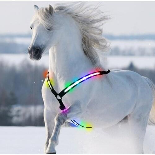 LED Horse Breastplate Collar Safety Reflective Equestrian Breast Collar Straps