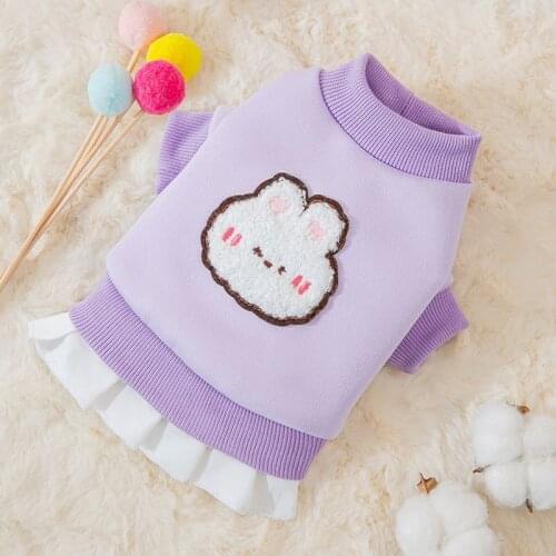 Small Pet Dog Sweaters For french bulldog Yorkies 2022 Winter Coat Cute Bear Puppy Sweatshirt Clothing Chihuahua Pet Clothes