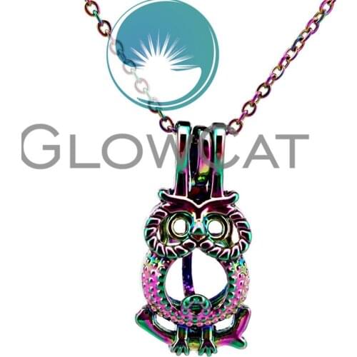 CC722 Rainbow Colors Grace Owl Birds Beads Cage Pendant Essential Oil Diffuser Aroma Pearl Cage Locket Necklace