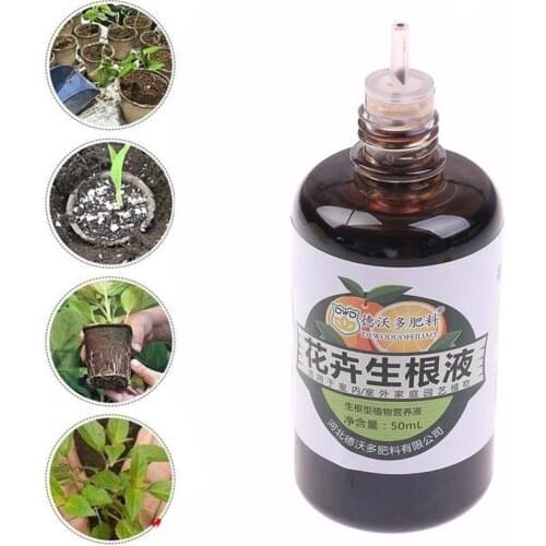 Rooting Liquid Plant Rapid Rooting Agent Flower Plant Seedling Agent Regulator Strong ML Hormone Flower Transplanting Ferti Q9F9
