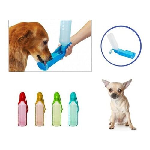 Buffer Bowls For Dogs