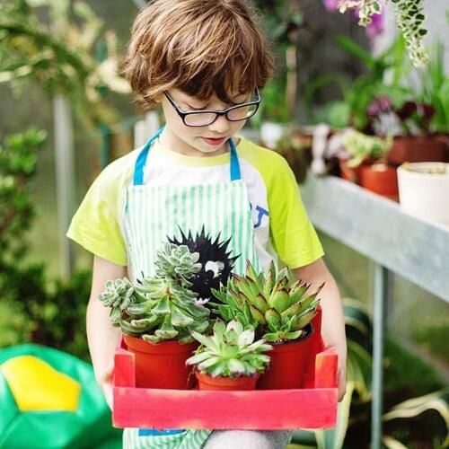 100/20/50pcs Bicolor Flower Pot Simple Plastic Nursery Pots for Succulent Plants Seed Starting Pot ALI88