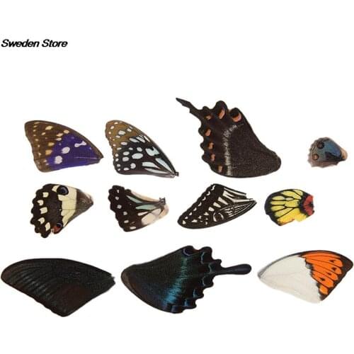 100Pcs Real Butterfly Wings DIY Jewelry Artwork Art Hand Craft Gift Random