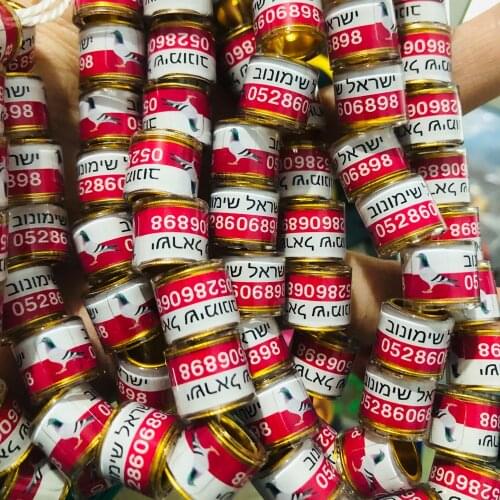 Customized birds rings with Two Color Pigeon Ring 100pcs