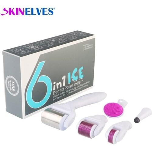 DRS 6 in 1 Derma Roller Microneedle Kits With Ice Roller For Face and Body Skin Rejuvenation Skin Care