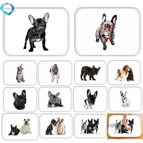 1PC 40x60cm Cartoon Lovely Dogs Print Anti-slip Floor Mat Outdoor Rugs Animal Front Door Mats Kitchen Mat for Living Room